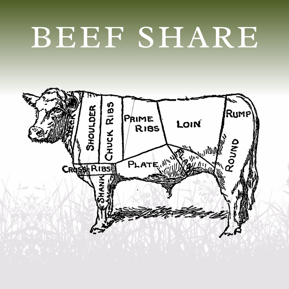 Beef Share